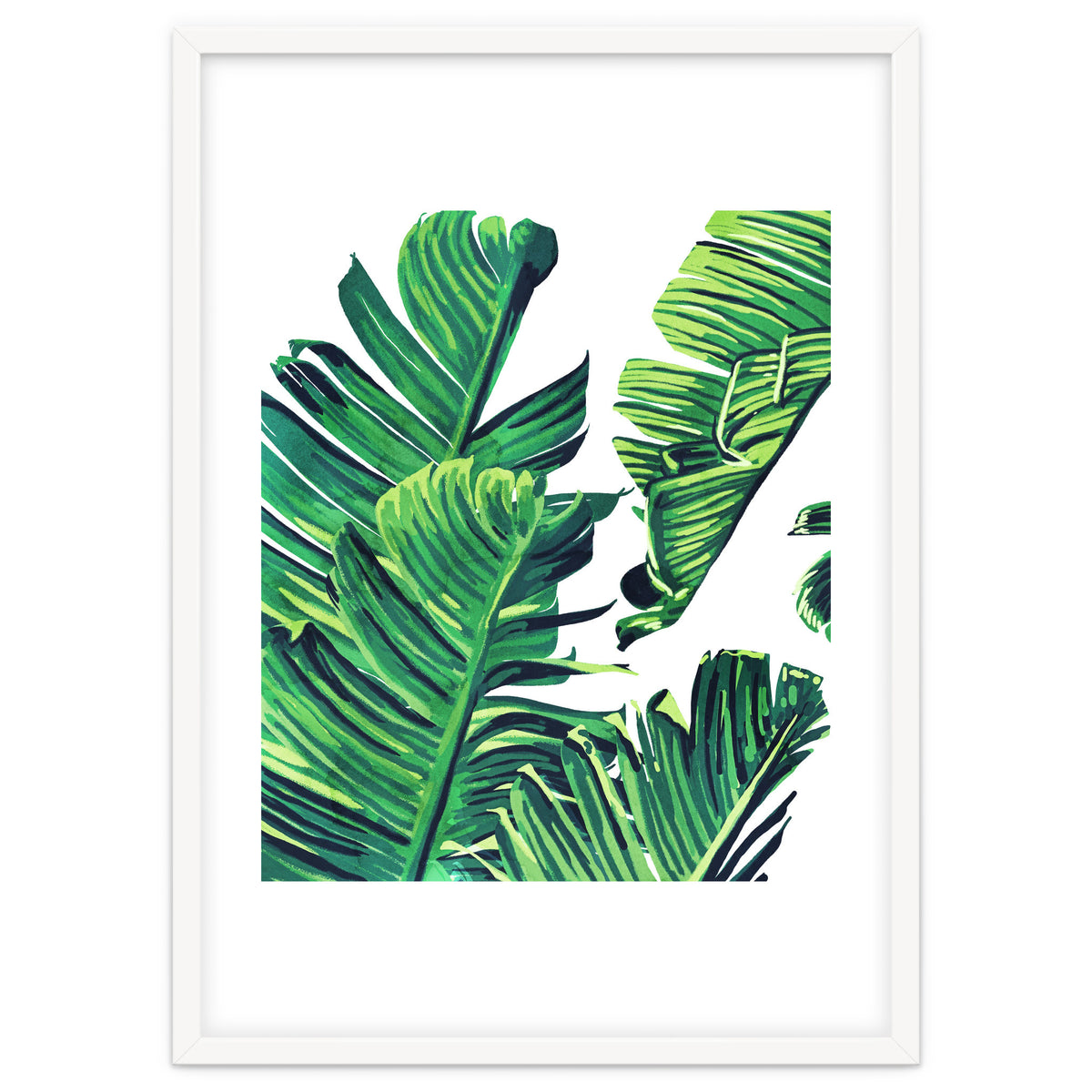 Banana Tree Leaves