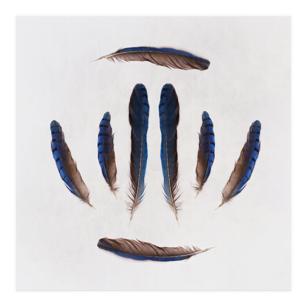 Forgive Me For Forgetting (Print Only)