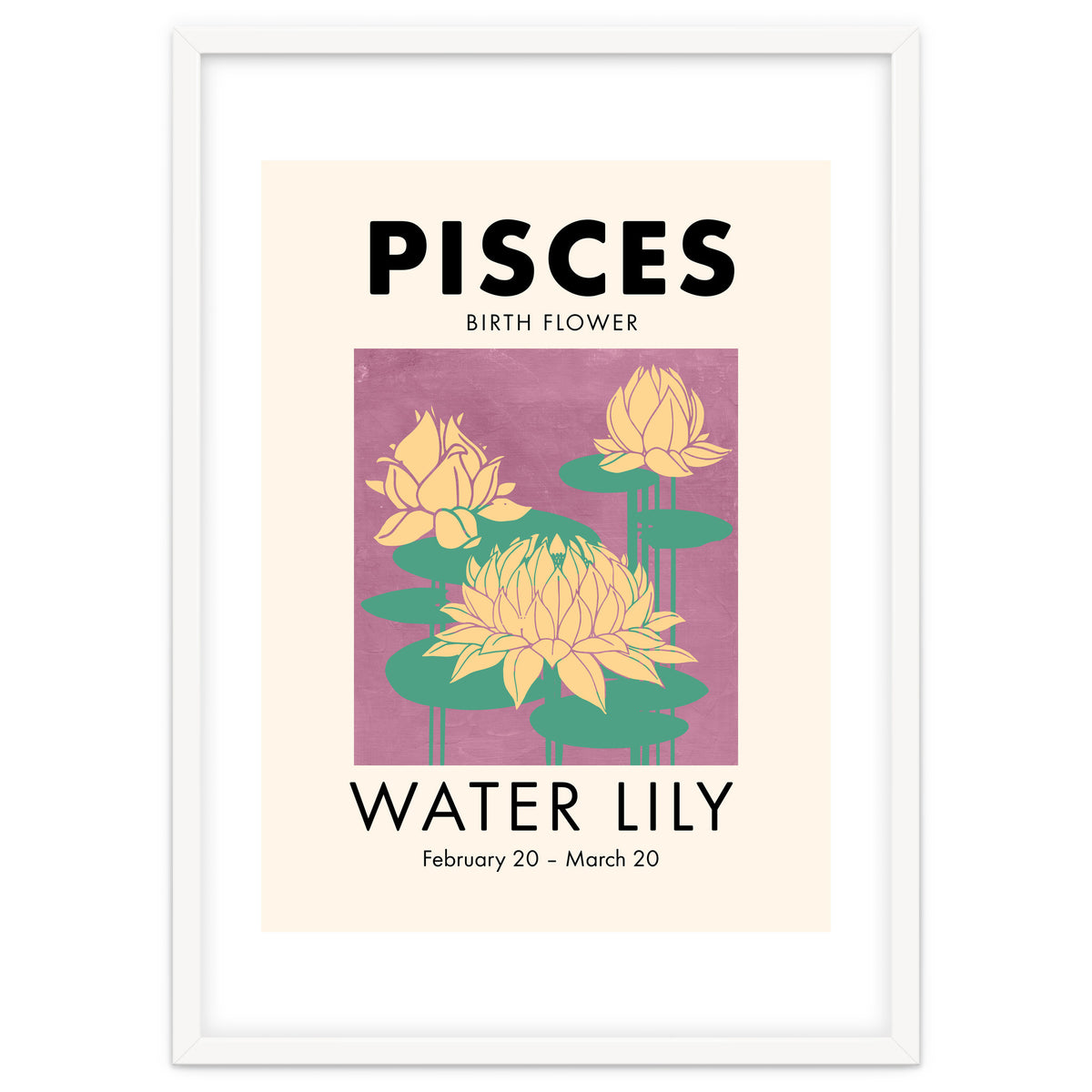 Pisces Birth Flower Water Lily