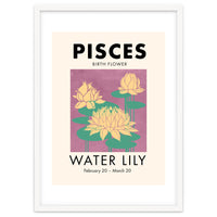 Pisces Birth Flower Water Lily