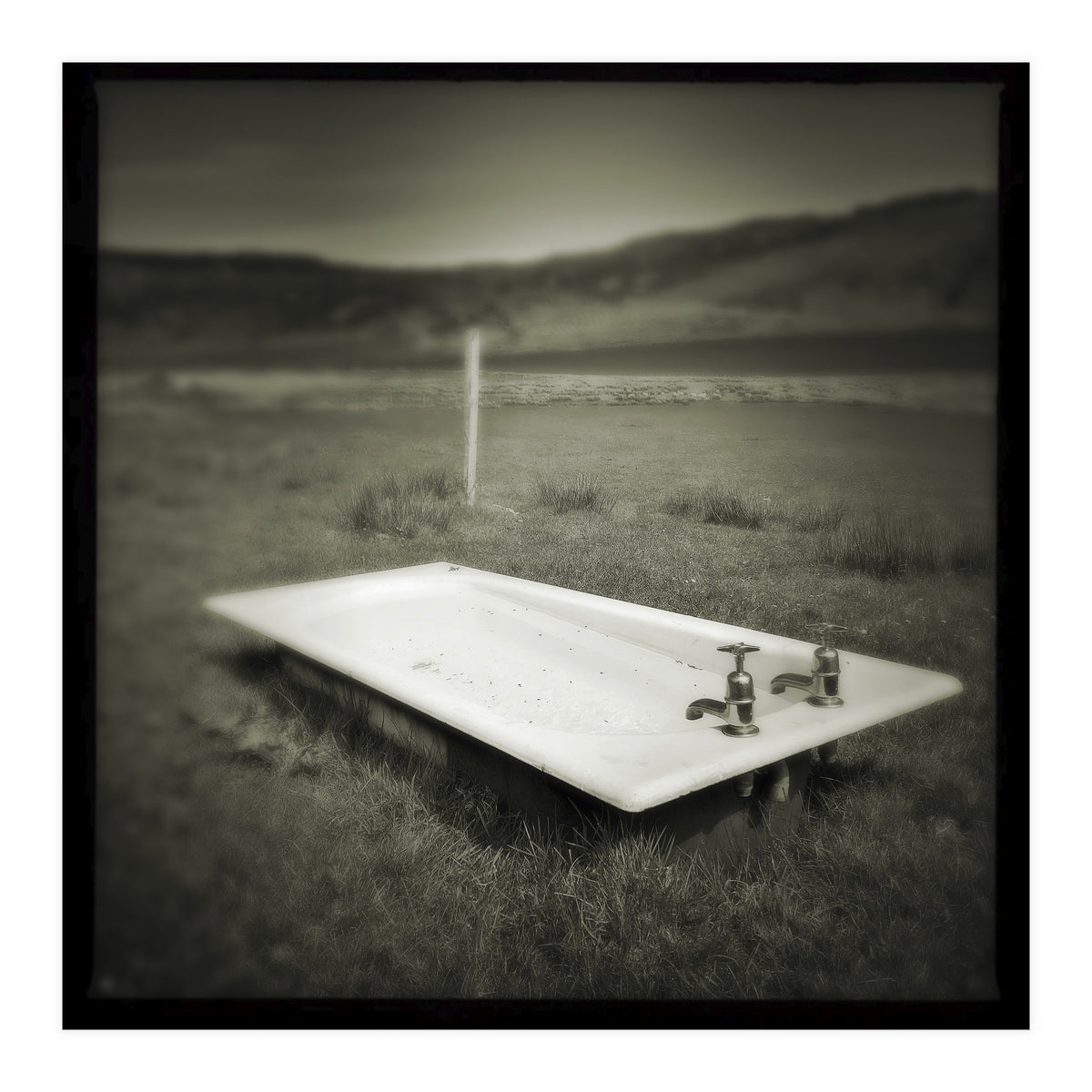 Waterstein 4 (Print Only)