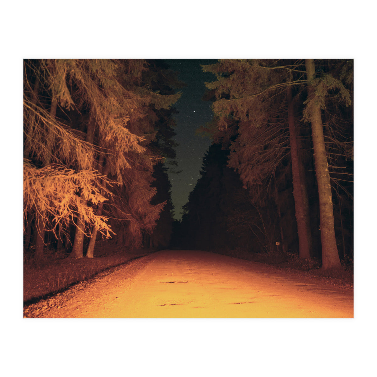 Serial Killer on His Way Home (Print Only)