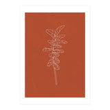 Line Art Botanical Terracotta (Print Only) thumbnail