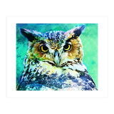 Great Horned Owl (Print Only) thumbnail