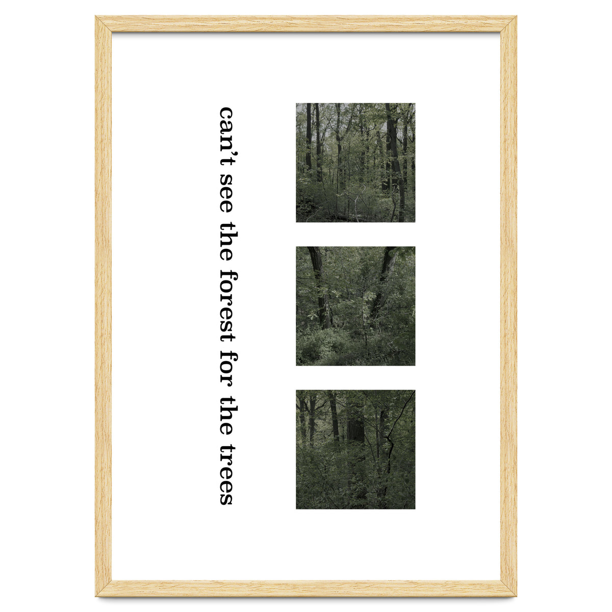 can’t see the forest for the trees