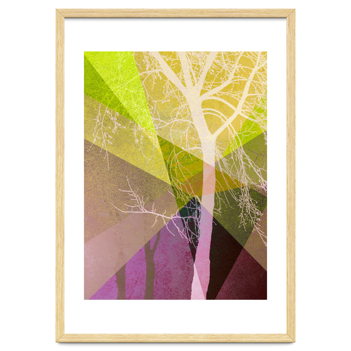 P22 A Trees And Triangles