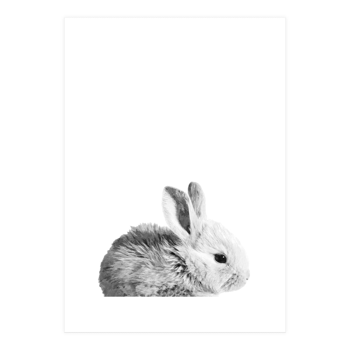 Black and White Bunny Portrait (Print Only)