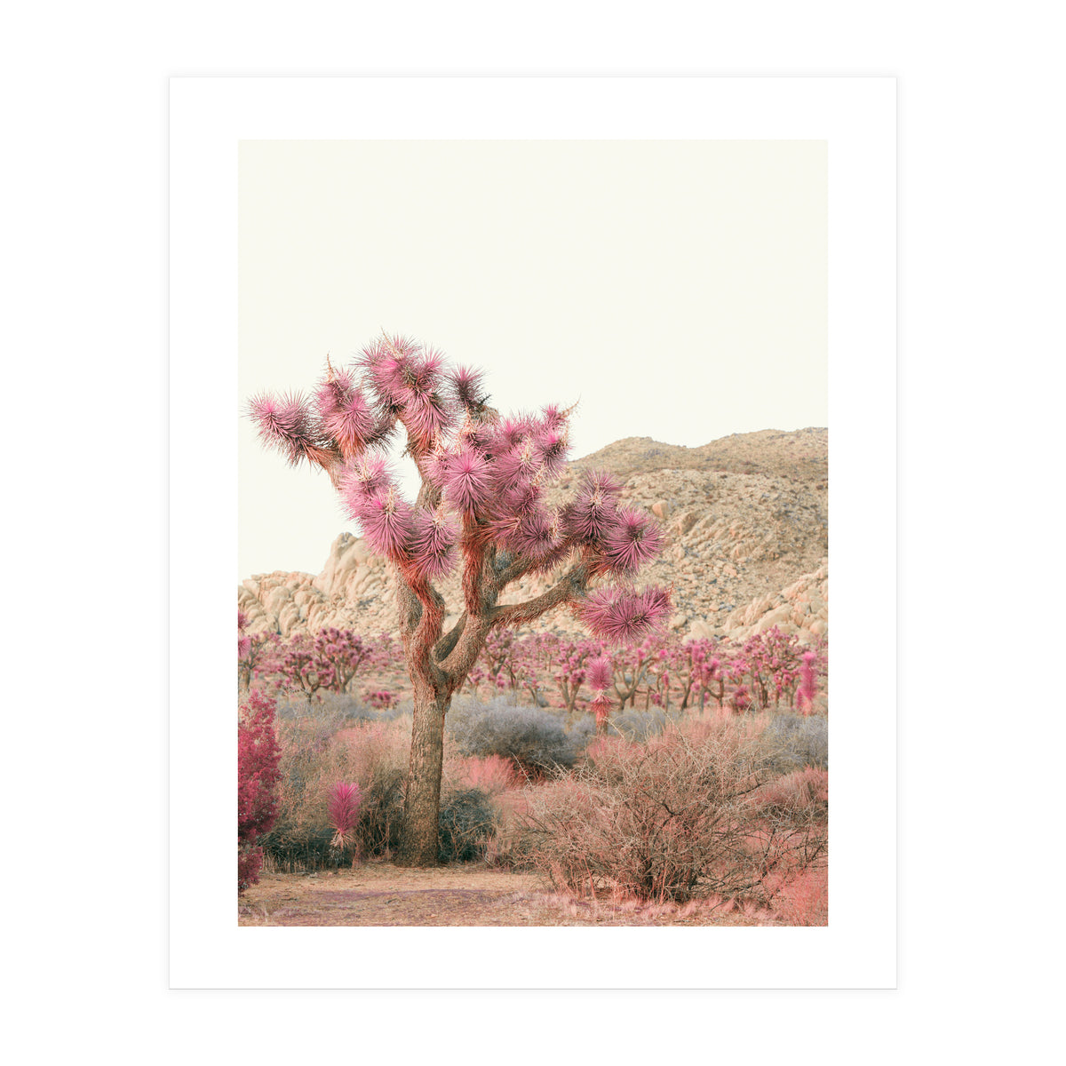 Boho Joshua Tree Cactus (Print Only)