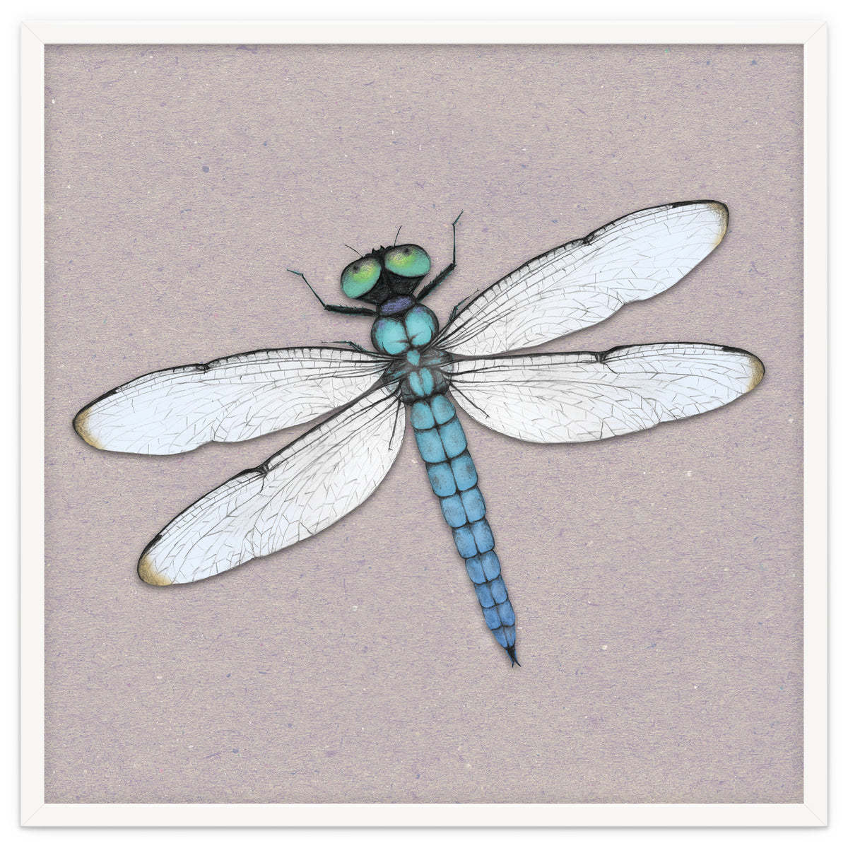 Blue dragonfly