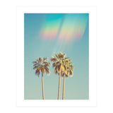 Groovy California Palm Trees (Print Only) thumbnail