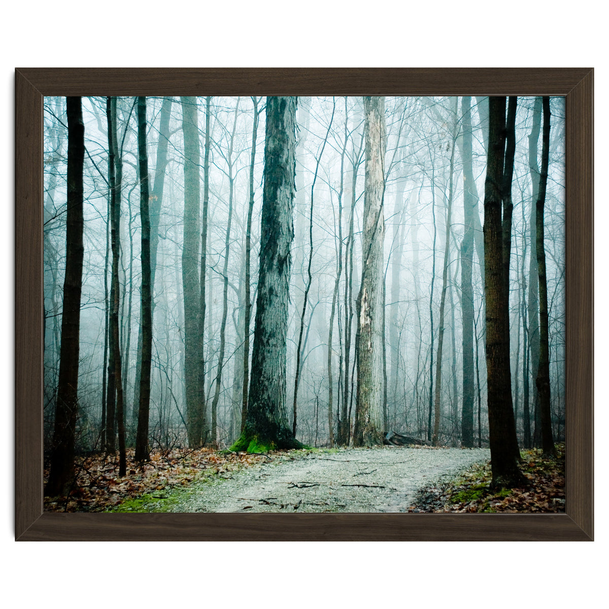 Gather Up Your Dreams