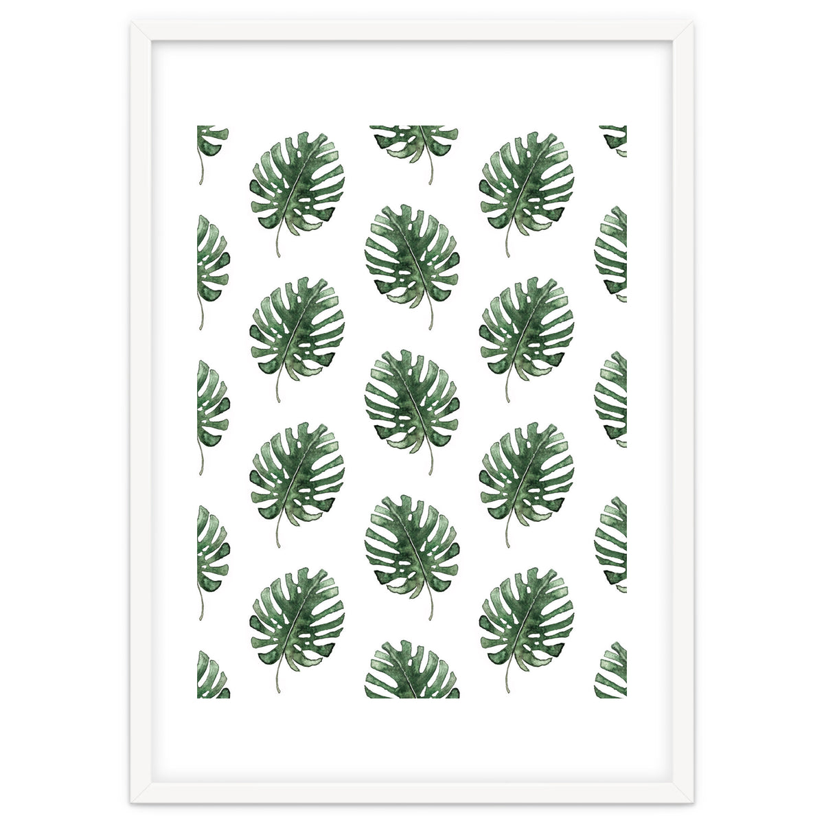 Monstera Leaves