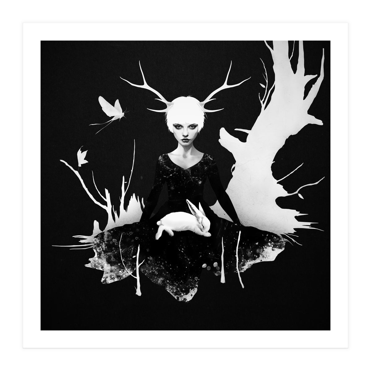 Space Within (Print Only)