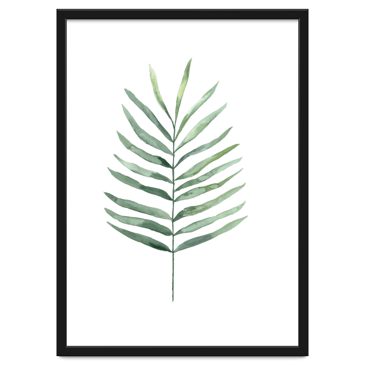 Botanical Illustration Fern