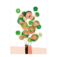 Pilea In Green And Coral (Print Only)