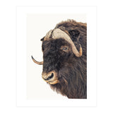 Cc Animal 02 (Print Only) thumbnail