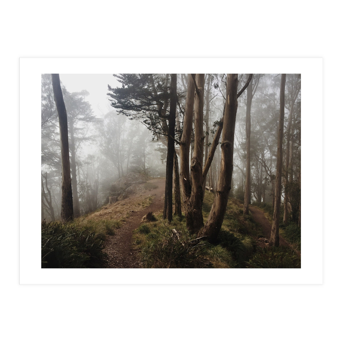 Mt. Davidson I (Print Only)