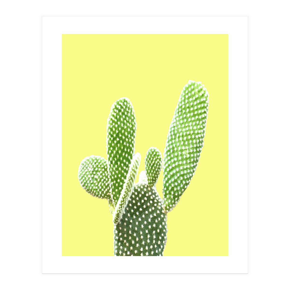 Cactus Yellow Background (Print Only)
