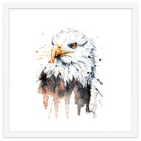 Bald Eagle - Wildlife Collection