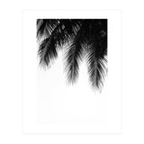 Palm leaves (Print Only) thumbnail