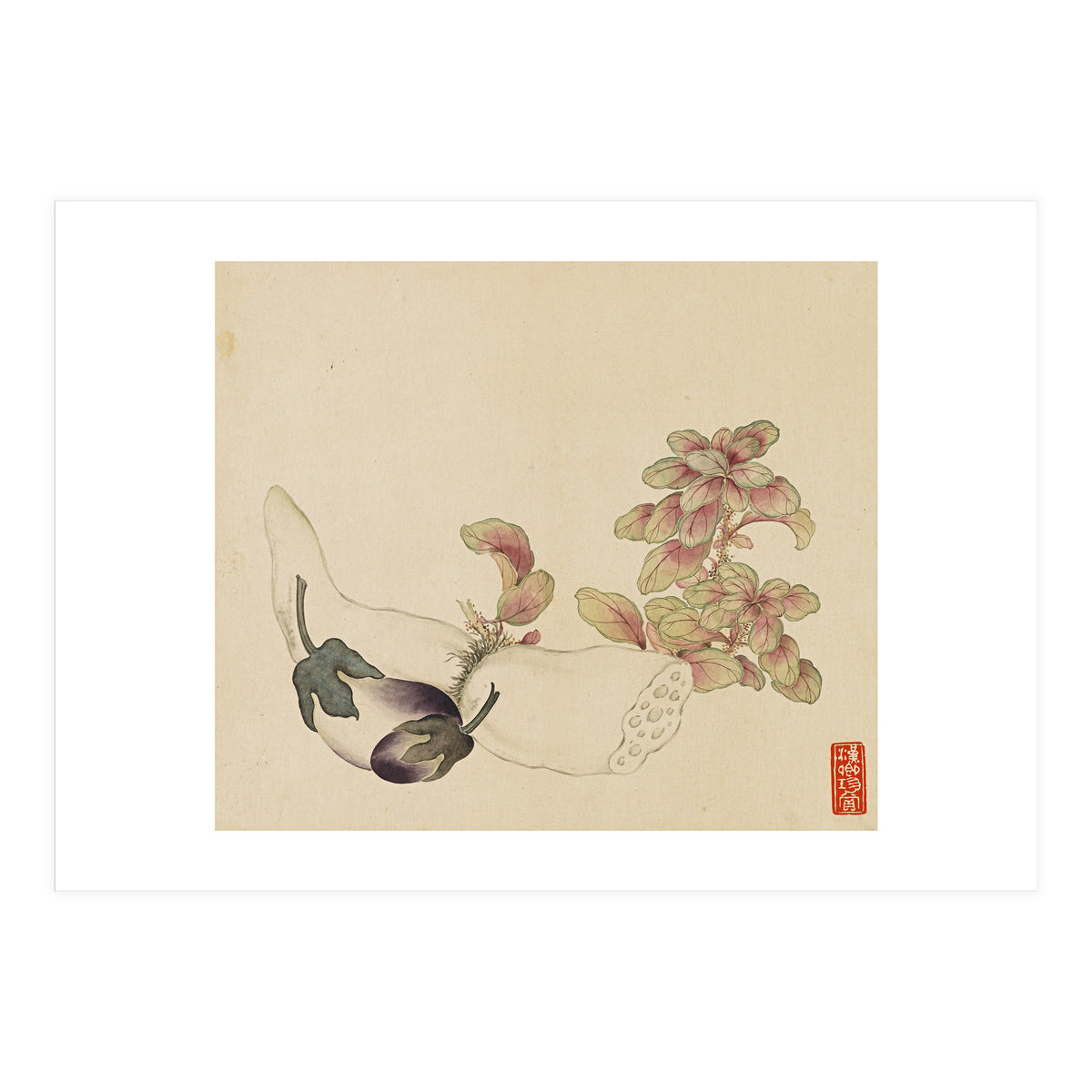 Wang Chengyu ~flowers, Vegetables, Fruits, Eggplant, Lotus Root (Print Only)