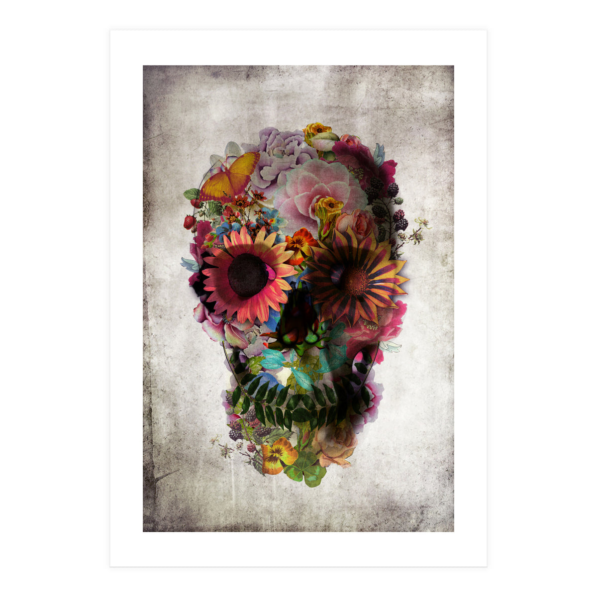 Skull (Print Only)