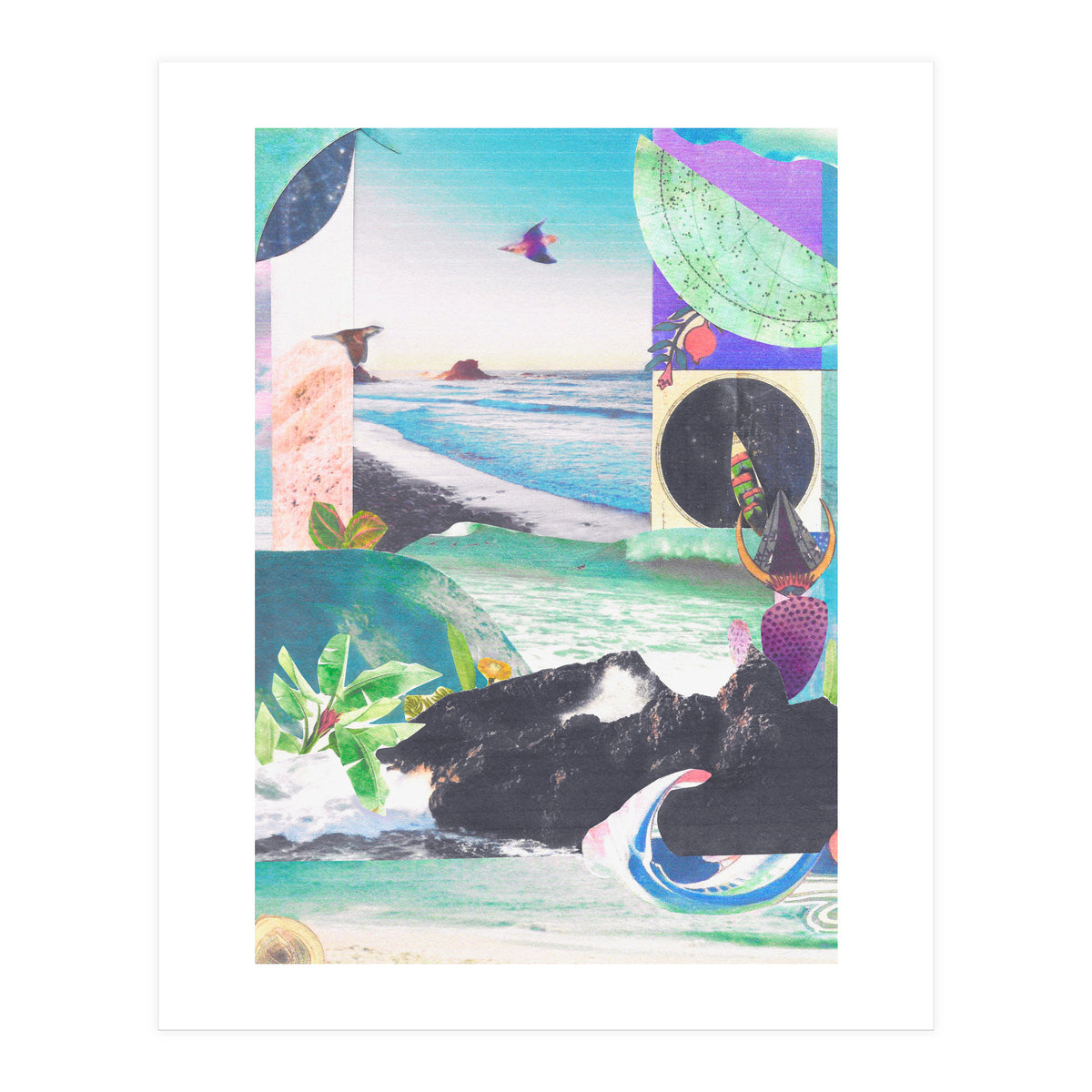 Beak Ruddy (Print Only)