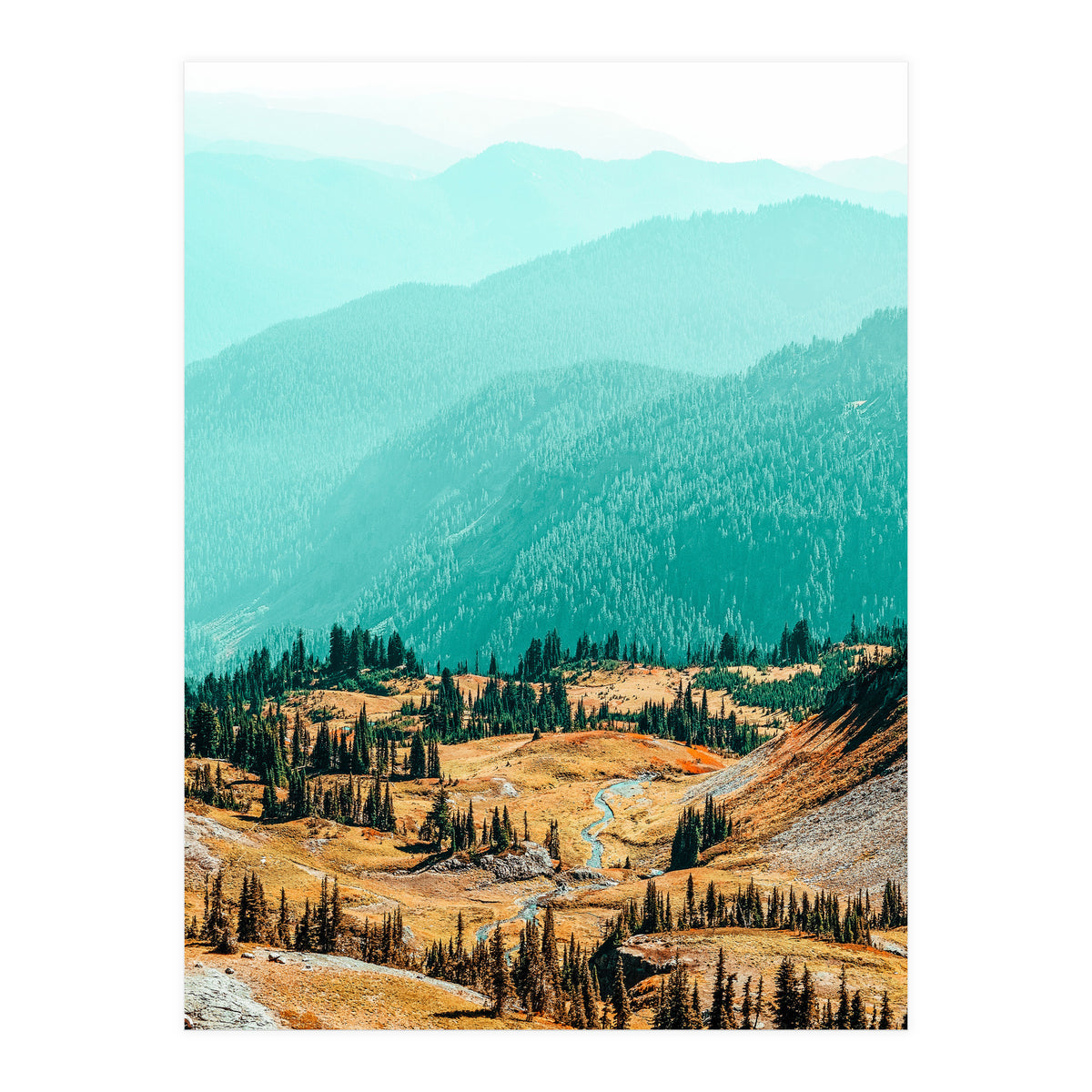 Delight Ii (Print Only)