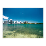 305 (Print Only) thumbnail