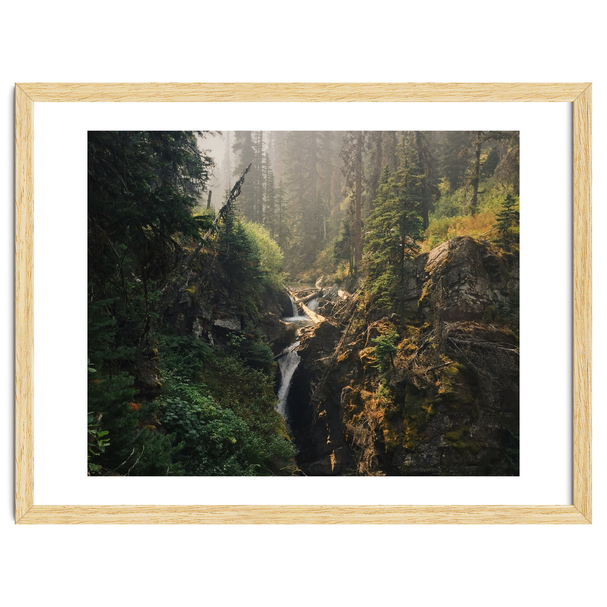 Glacier National Park I