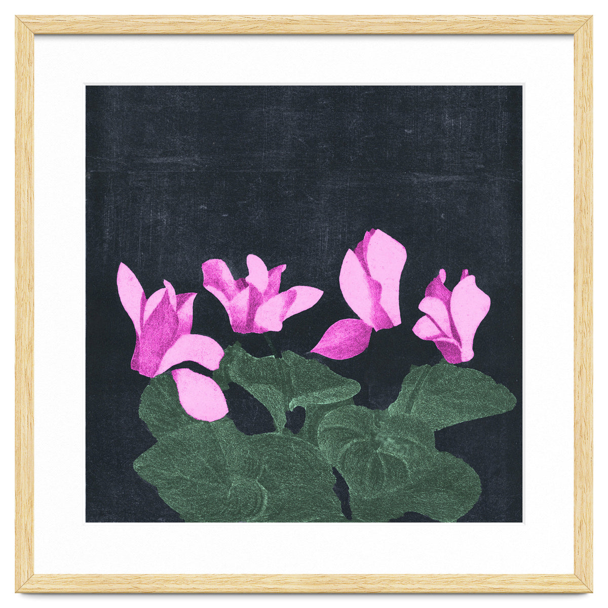 Cyclamen