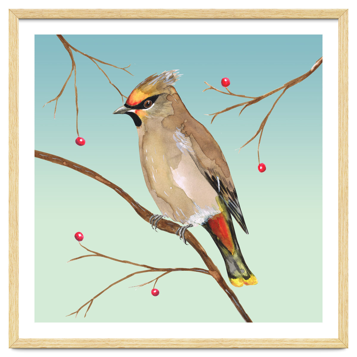 Bohemian waxwing
