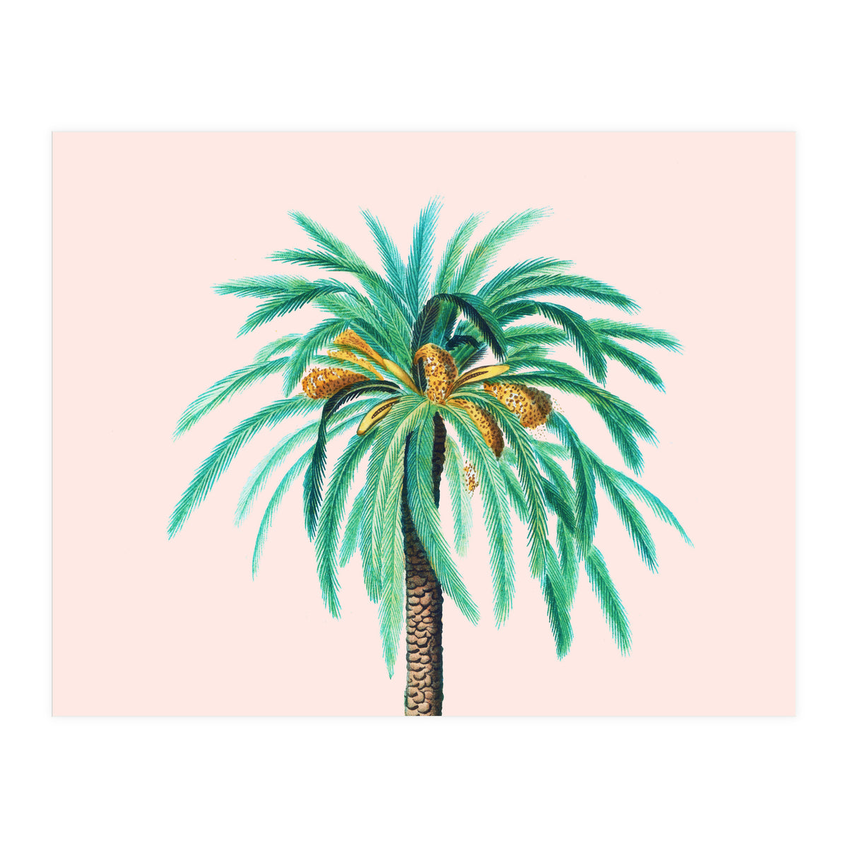 Coconut Island (Print Only)