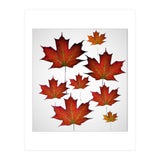 Autumn  leaves (Print Only) thumbnail