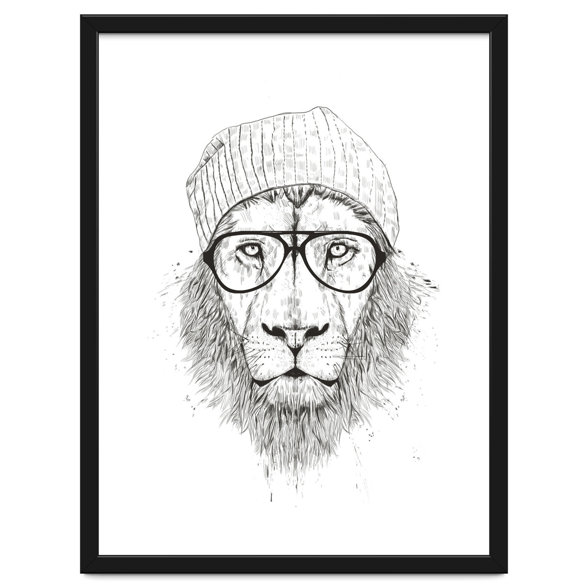 Cool Lion Bw