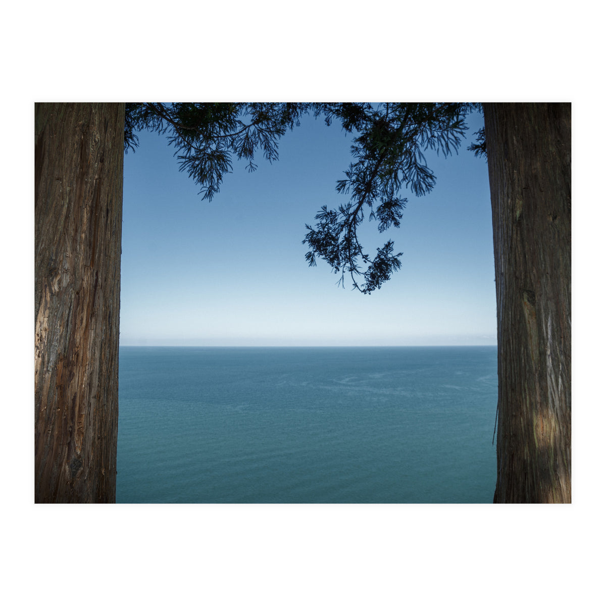 Picture Postcard Perfect (Print Only)