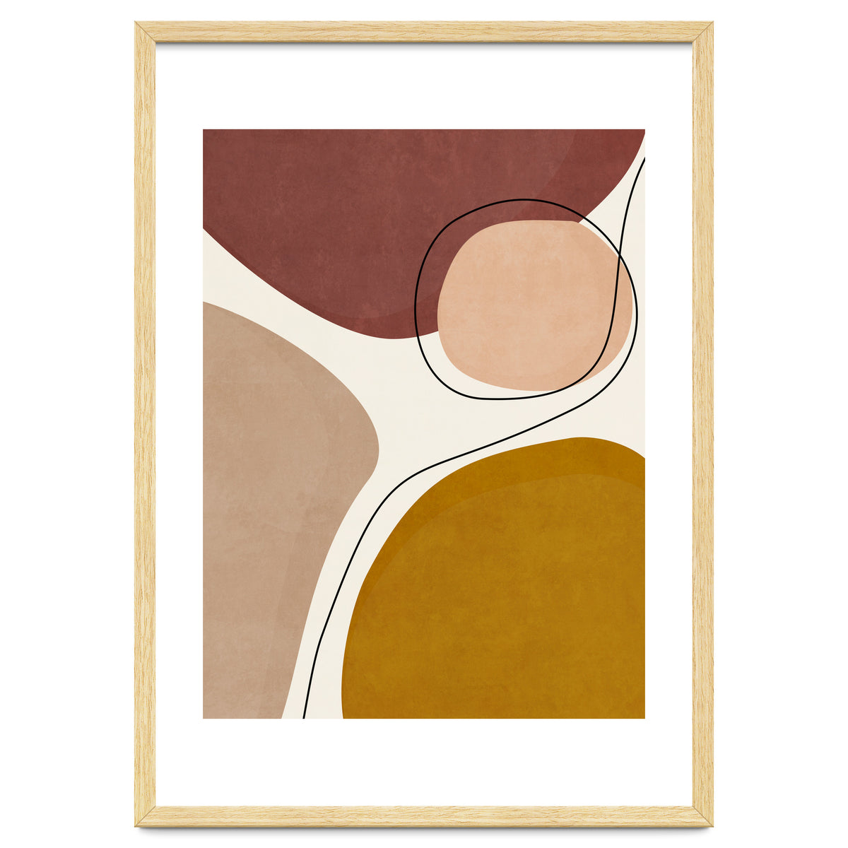 ORGANIC SHAPES - 01YR