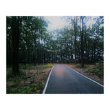 In To The Wild (Print Only) thumbnail
