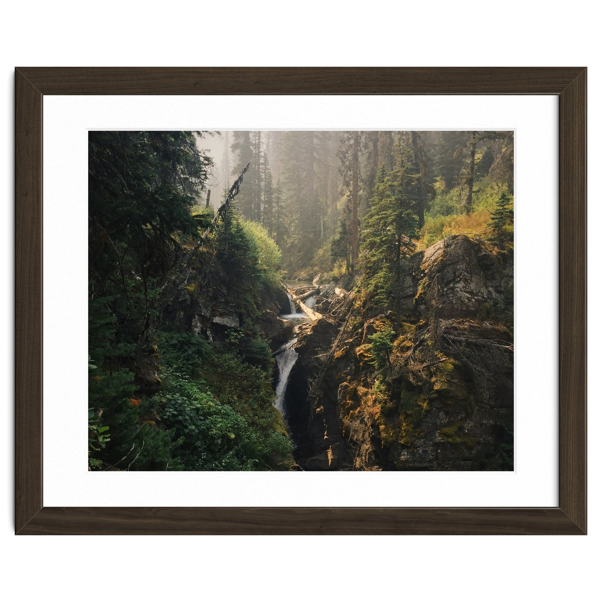 Glacier National Park I