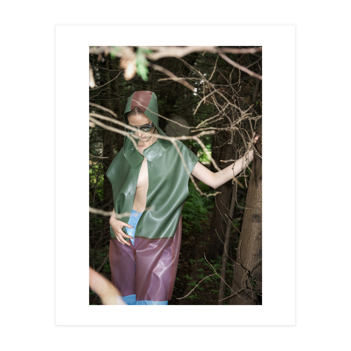 Camouflaged Animals (Print Only)