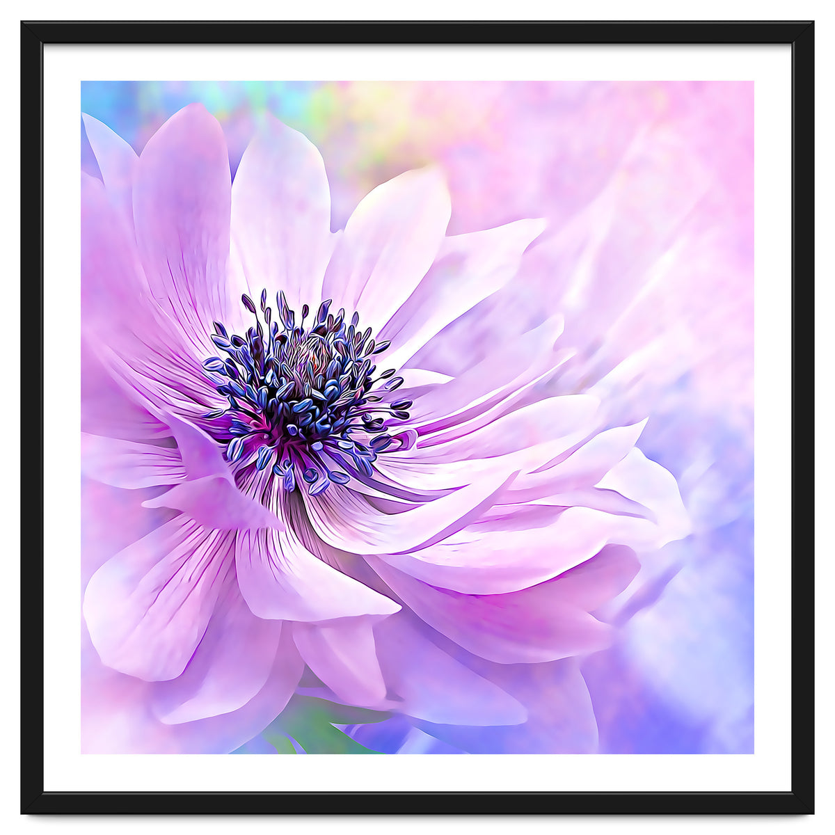 Wispy Purple Anemone