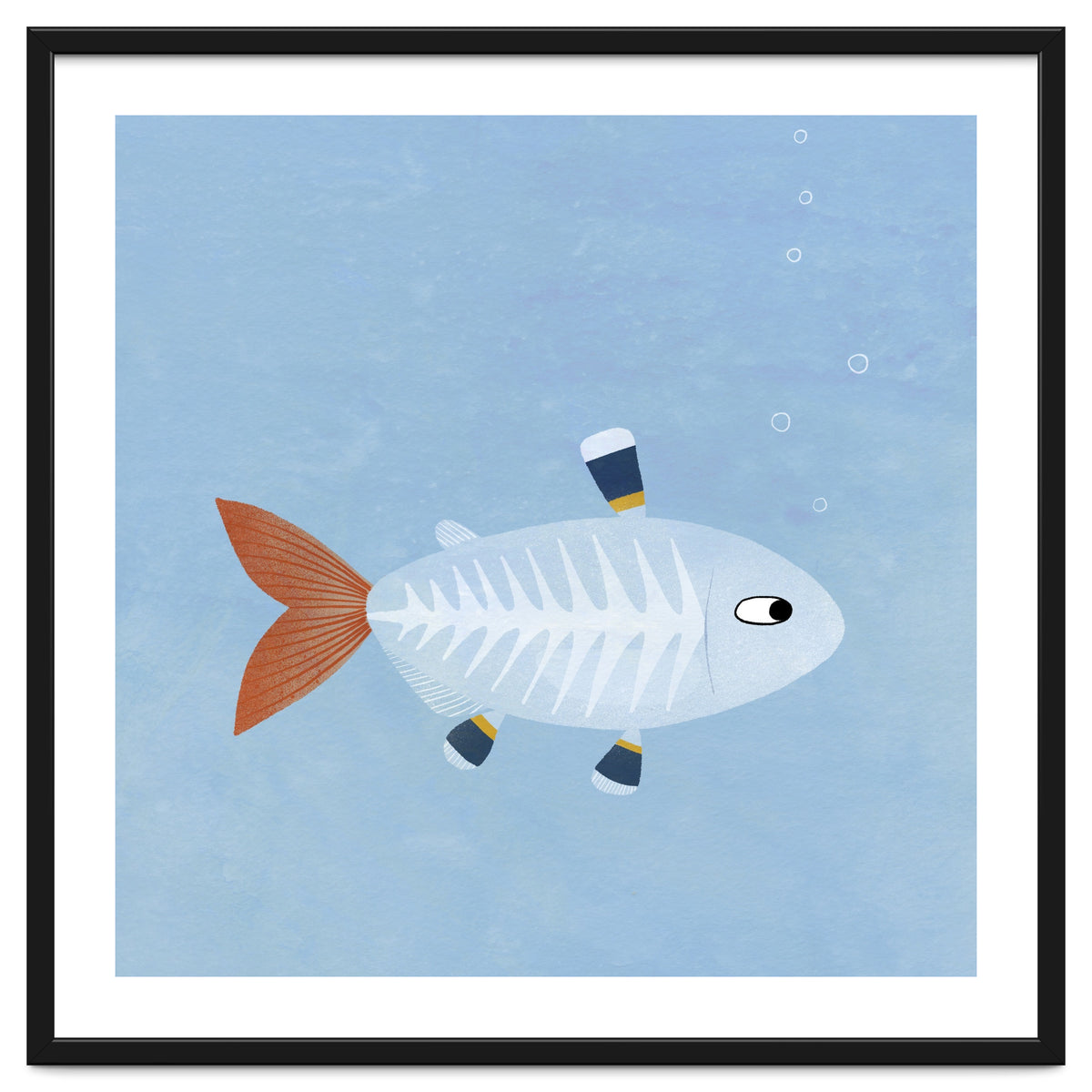 X Ray Tetra
