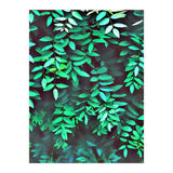 Greener (Print Only) thumbnail