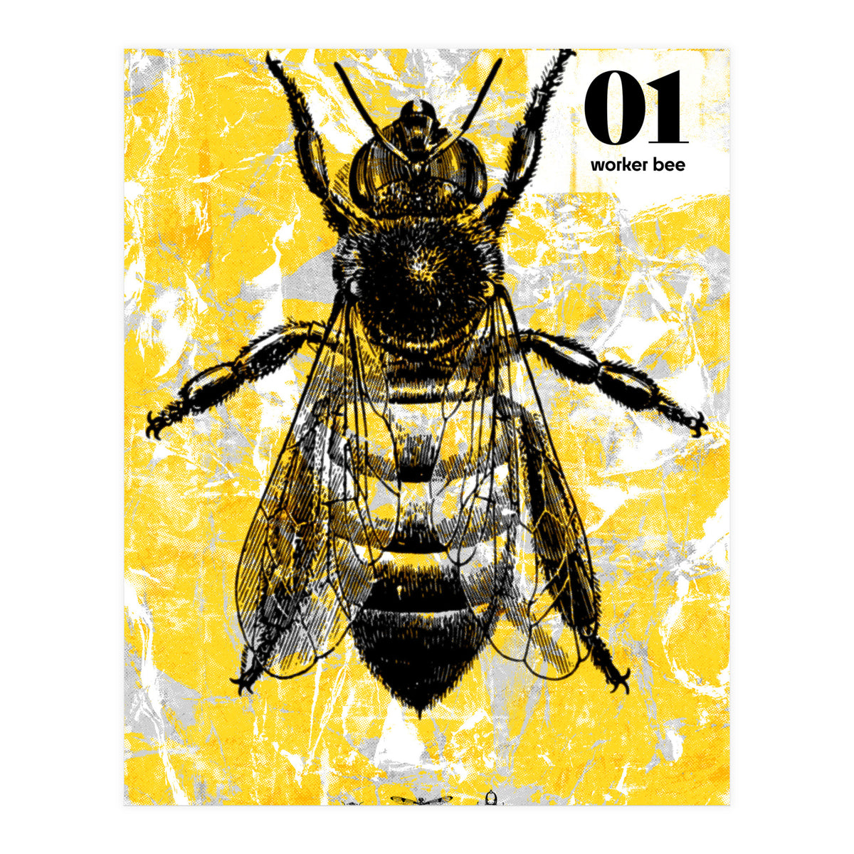 Bugs 1  (Print Only)