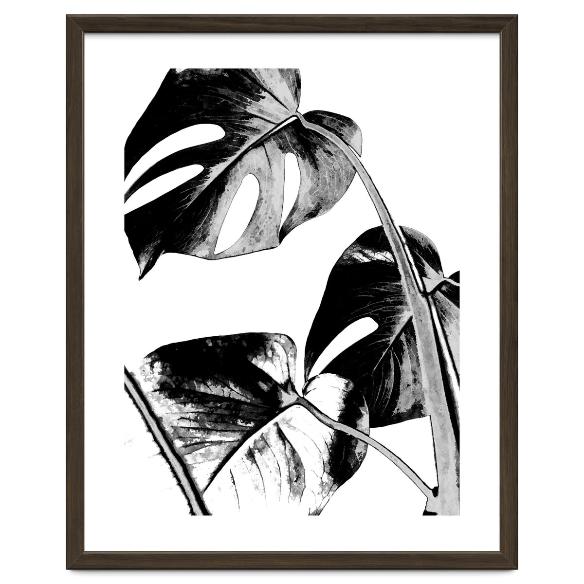 Black Tropical Leaves