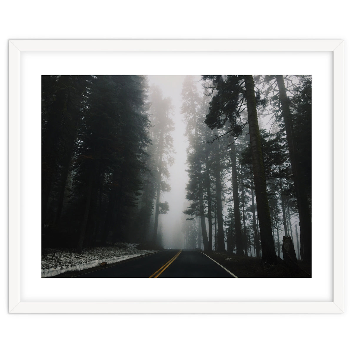 Foggy Yosemite