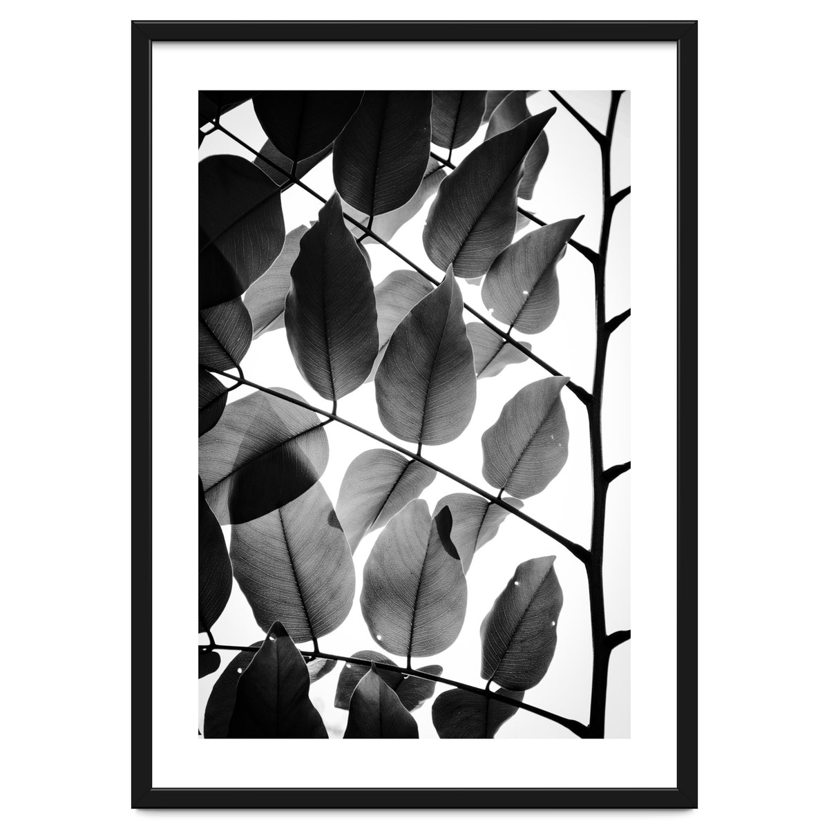 Branches and Leaves II