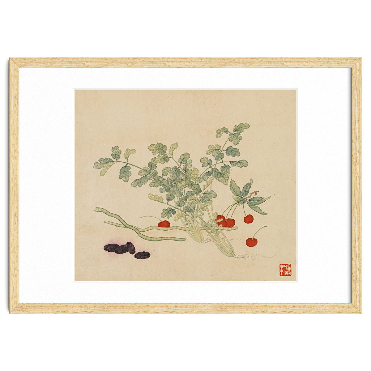 Wang Chengyu~flowers And Vegetables, Vegetables, Fruits, Beans, Red Beans, Cherries, Celery