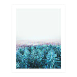 Tree Tops (Print Only) thumbnail