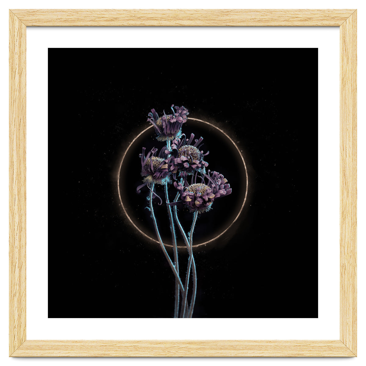 Candy-Coloured Mystery